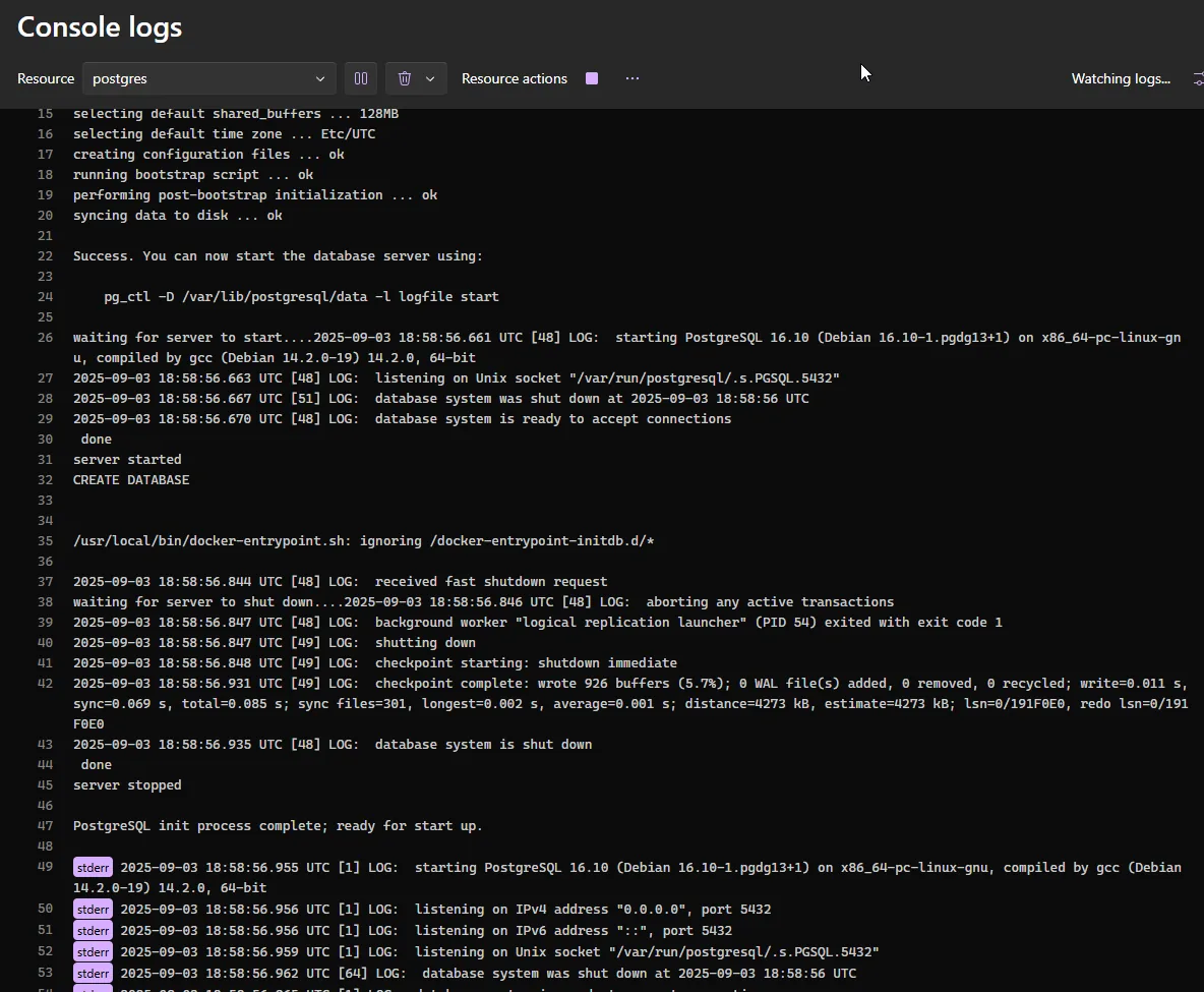 A view of the console logs from the Aspire dashboard application