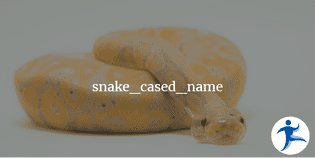 Identifying Variable Casing Conventions for Improved Readability ...