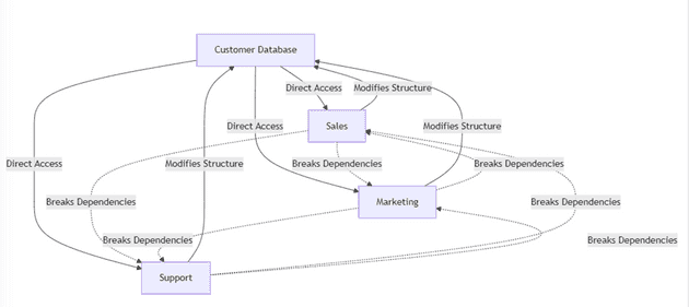 With one Customer database, they all directly access the database, modify structures, and break dependencies for others. This is a mess.